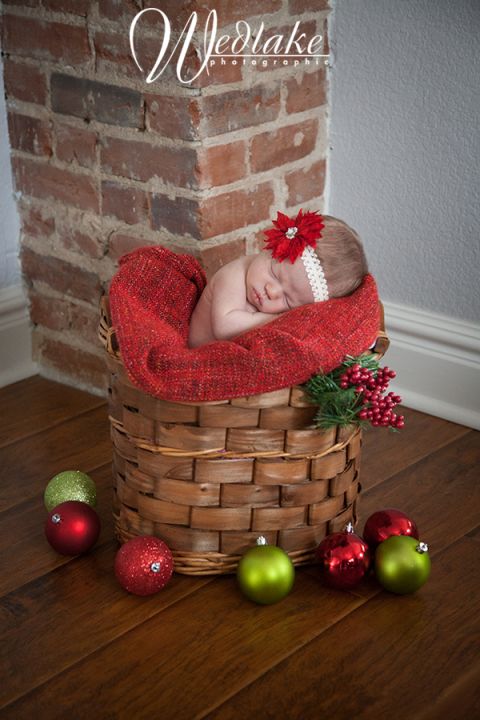 Christmas newborn pictures