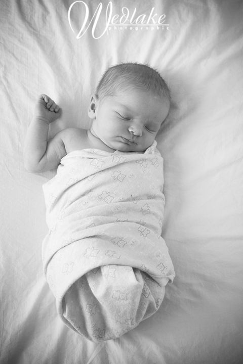 newborn baby photography denver