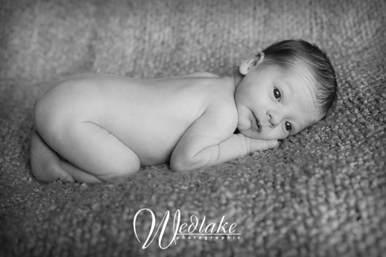arvada co baby photography