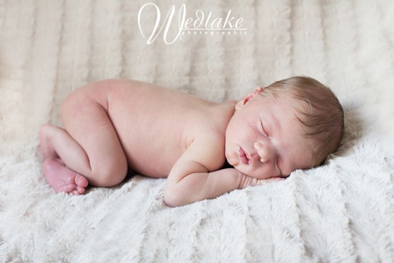 newborn photography studo denver