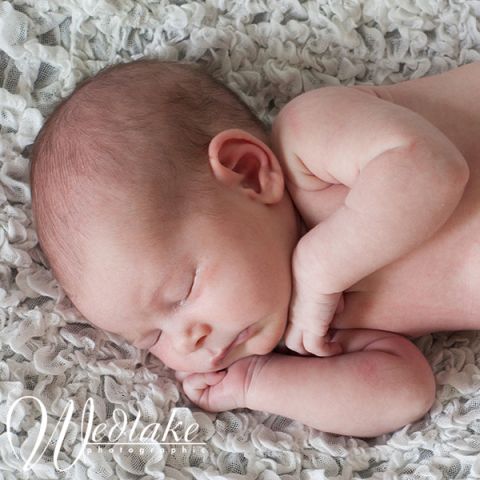 newborn baby photographer arvada CO
