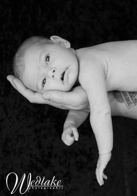 Newborn baby photography arvada Colorado