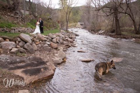 wedgewood boulder wedding photos
