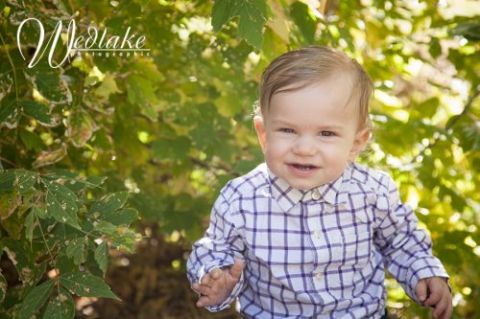Golden CO Baby Photography