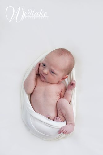newborn baby photography arvada Colorado