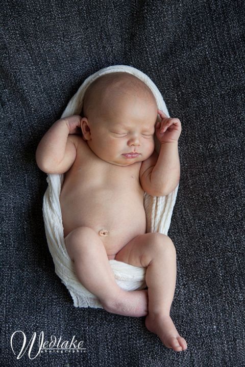 newborn baby photography studio arvada CO
