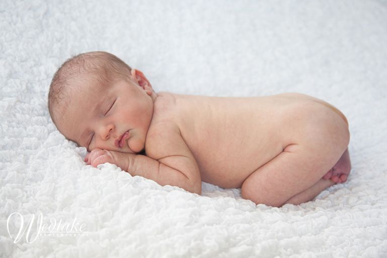 Newborn Photorapher Denver