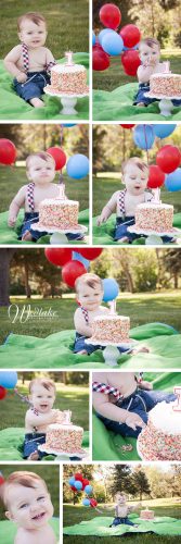 One year old cake smash pictures