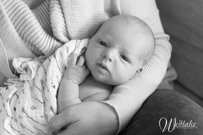 Newborn Photography Arvada CO