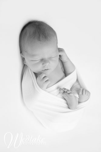 Newborn Photographer Denver