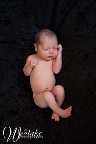 arvada co newborn baby photography