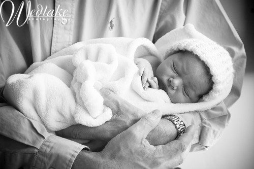 denver newborn baby photographer