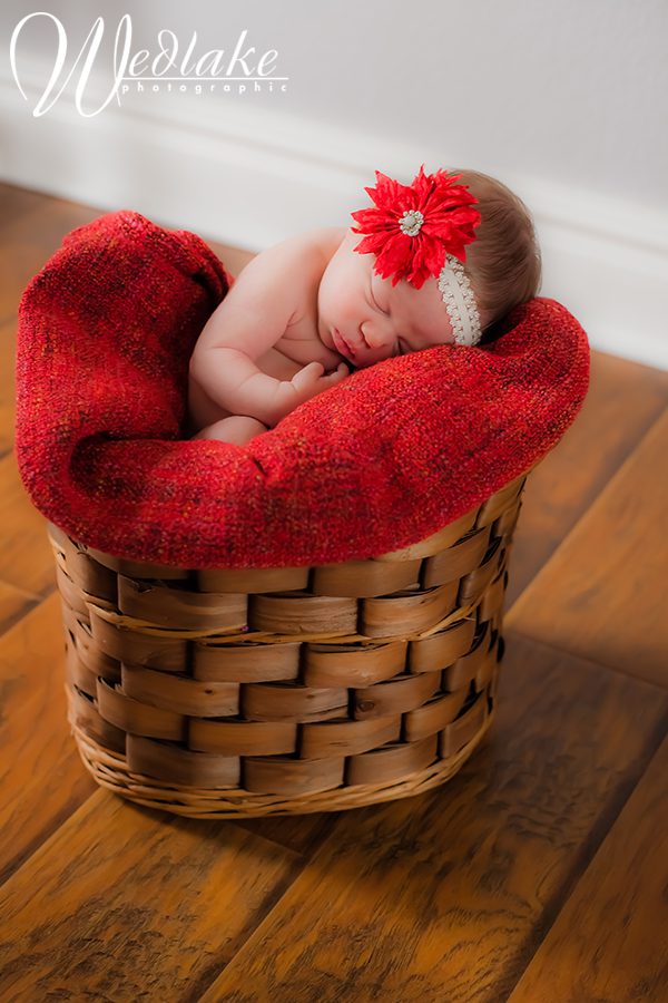 Newborn photography studio arvada co