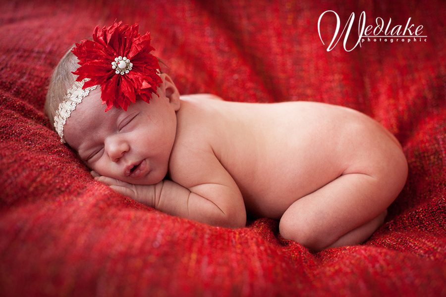 denver newborn baby photographer