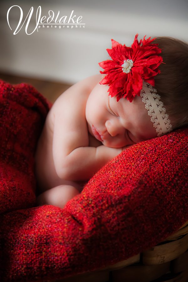 newborn baby photogrpaher arvada co