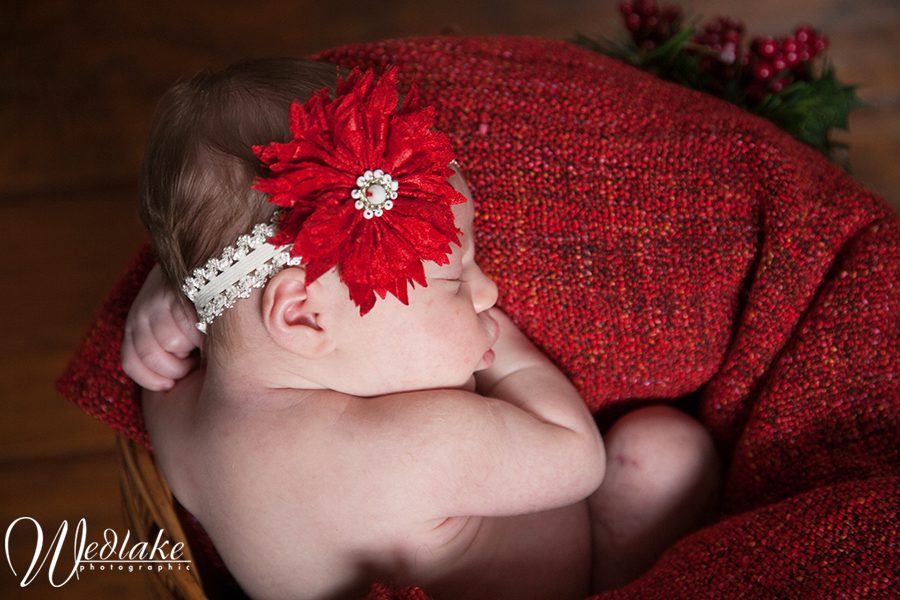 newborn photography arvada co