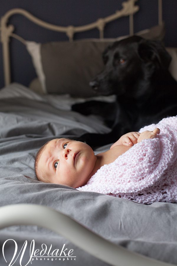 Denver Lifestyle Newborn Baby Photographer » Wedlake Photographic