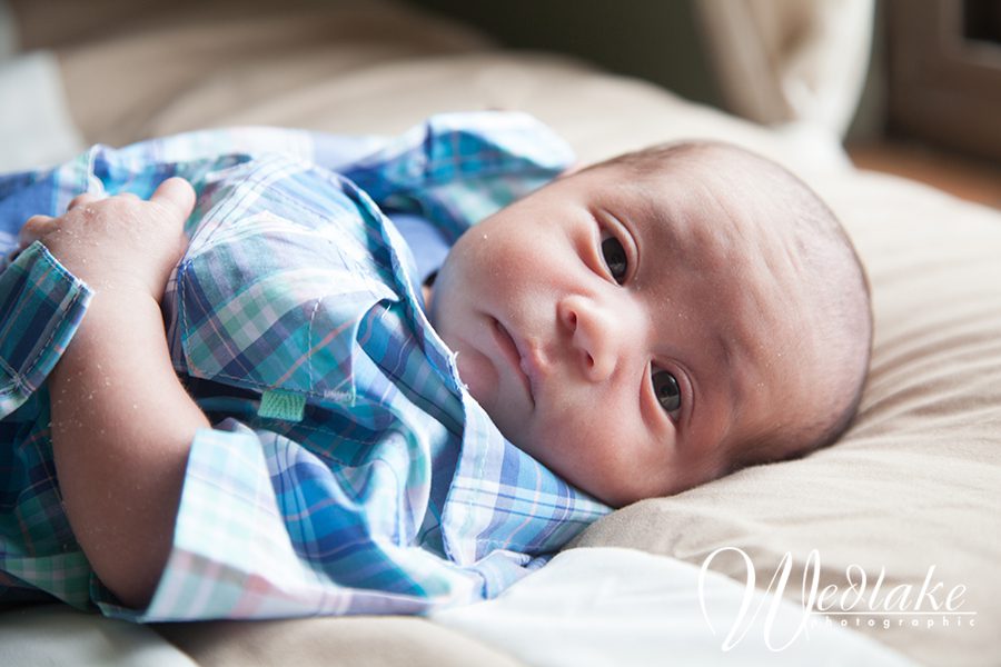 arvada co baby photography