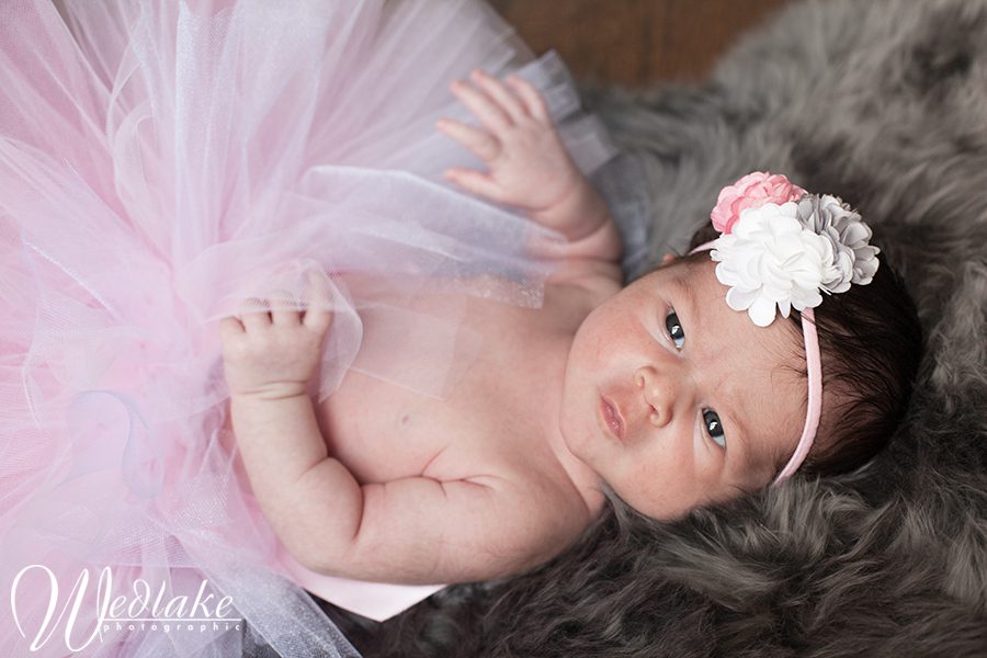 Newborn PHotographer Littleton CO